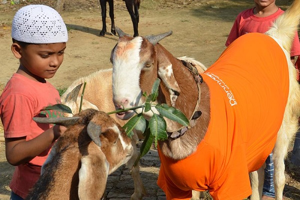 Boy and Goat