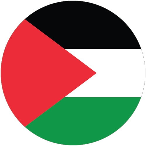 Palestine flag.