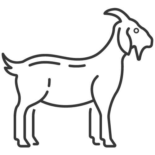 An icon of a goat to symbolise Qurbani sacrifice.